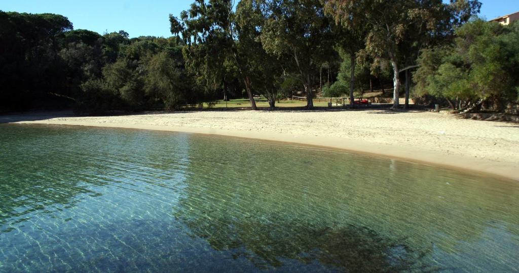 Appartamenti Galatea Palau Exterior foto